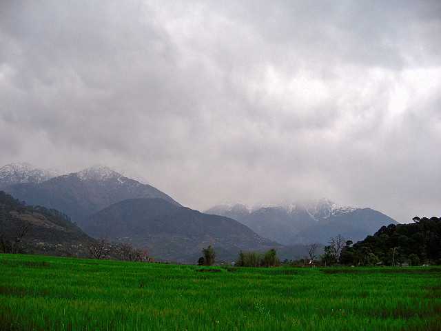 Palampur, short trip around Delhi