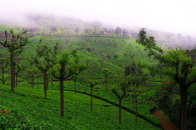 Coonoor long weekends away