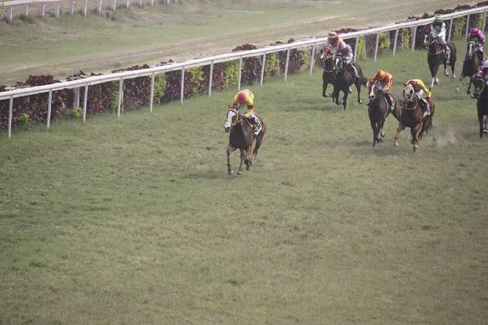 kolkata racecourse in evening 