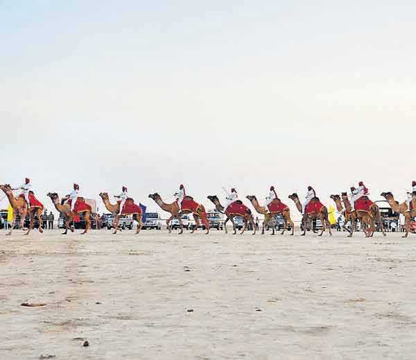 Camel Safari, Rann Kutch Utsav