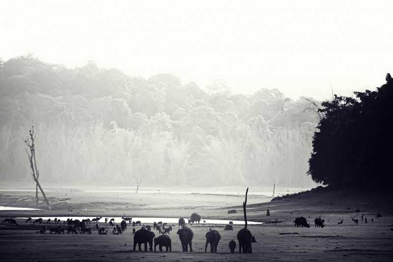 Nagarhole Tiger reserve, Tiger Reserves of India