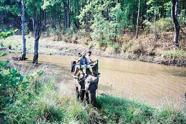 Safari at Kanha National Park. India Tiger reserves