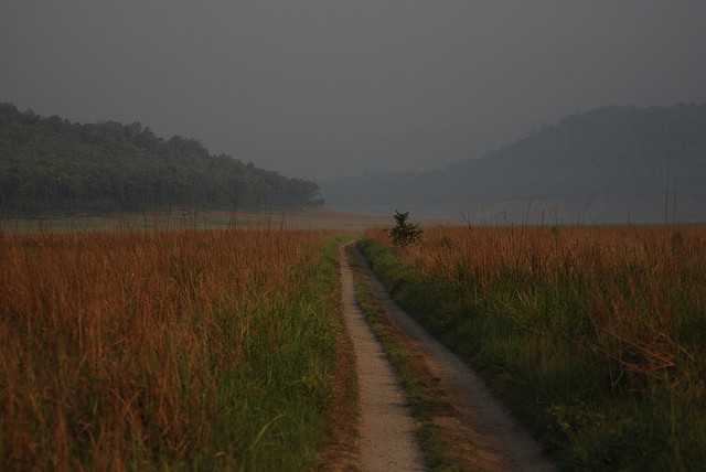 Jim corbett national park, Places to spot tigers in India