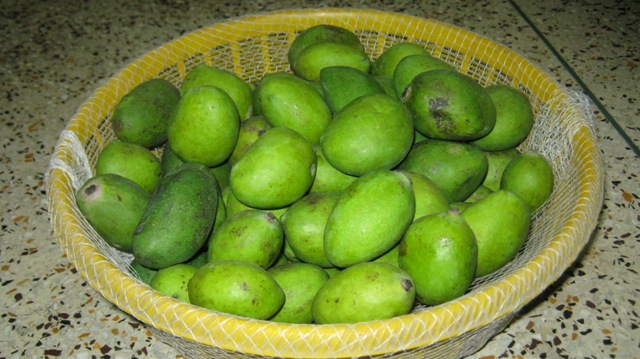 Dashehari mangoes