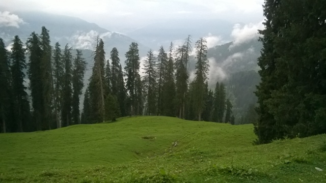 Kais Dhar Meadows, Kullu (Source)