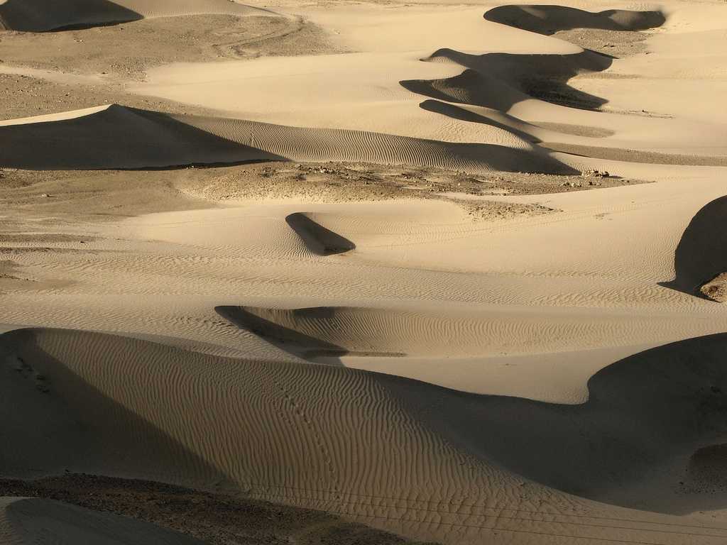 Dunes of the Nubra Valley, Places to visit in Leh Ladakh