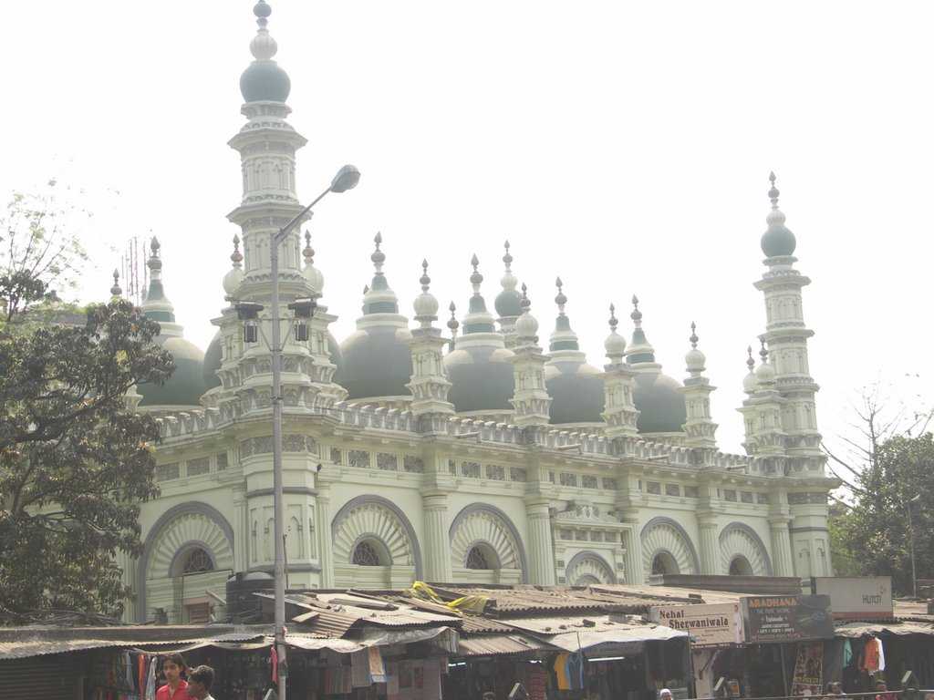 Tipu Sultan Shahi Mosque (Source)
