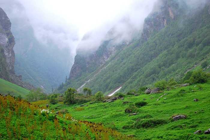 Valley of Flowers (Source), Places To Go After Graduation With Your Friends