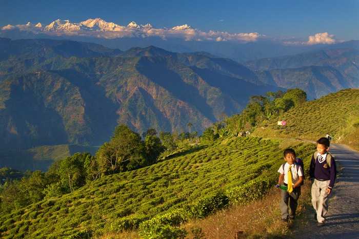 Darjeeling, Places To Go After Graduation With Your Friends