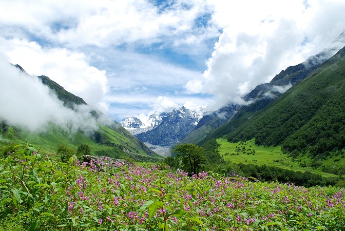 The Valley of Flowers_Holidify