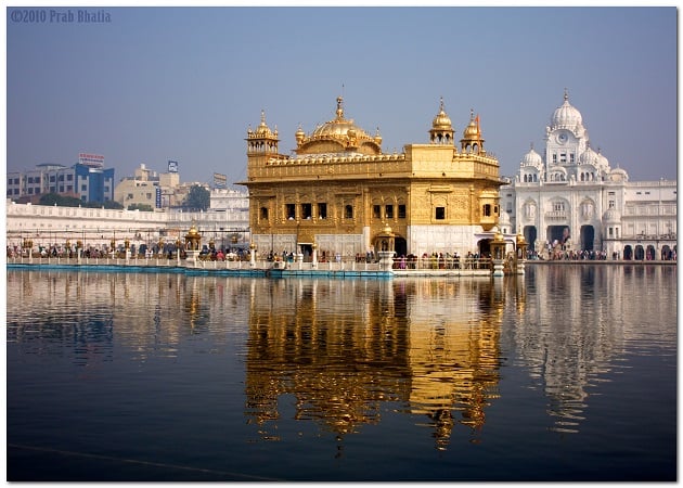 The Golden Temple Resplendent in the Sunlight 