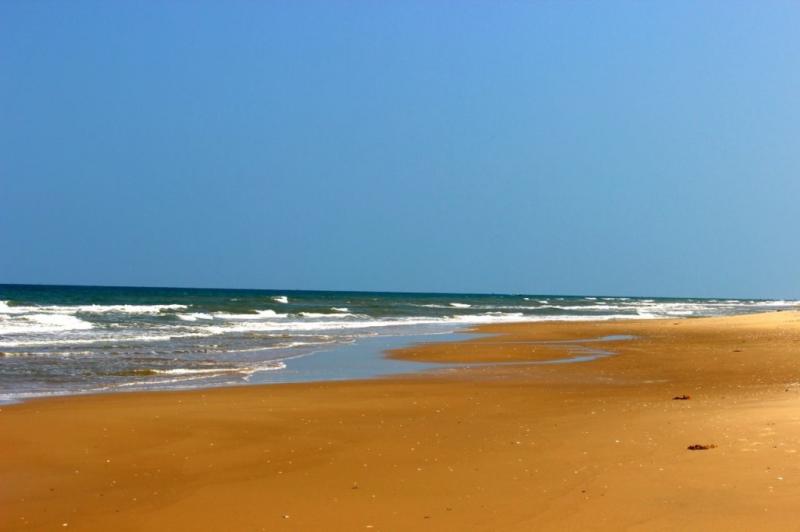 Virgin Pichavaram Beach