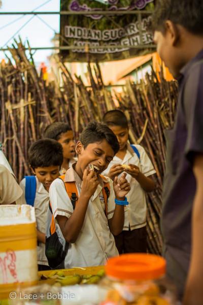 Sugarcane for Thai Pongal -  Festivals of Tamil Nadu 