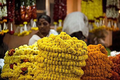 Pongal flowers -  Festivals of Tamil Nadu 