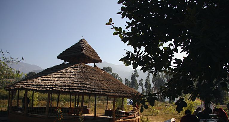 camp-kyari-corbett-national-park