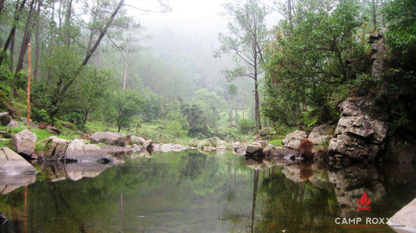 Kangojodi Camp, Sirmaur