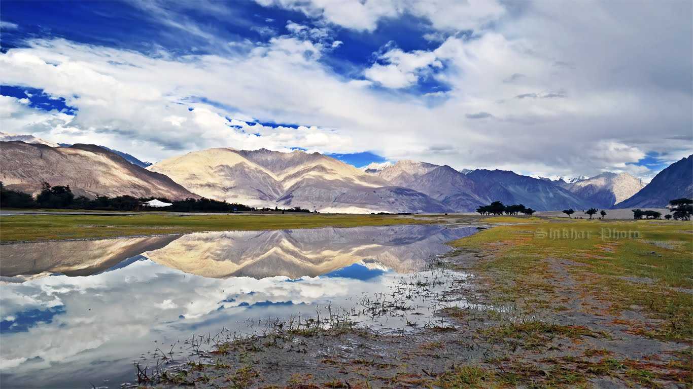 3 Things To Do In Nubra Valley