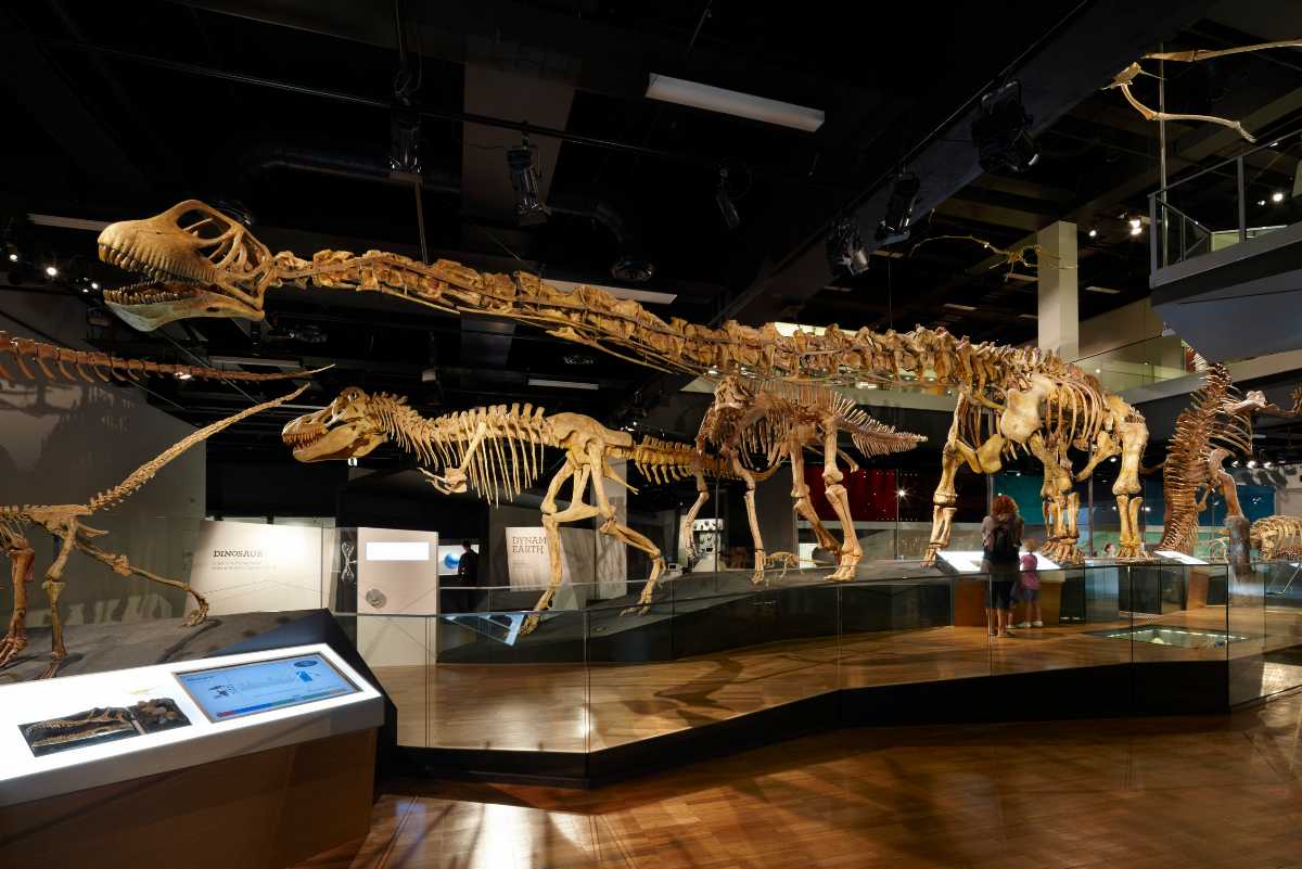 top dinosaur museums