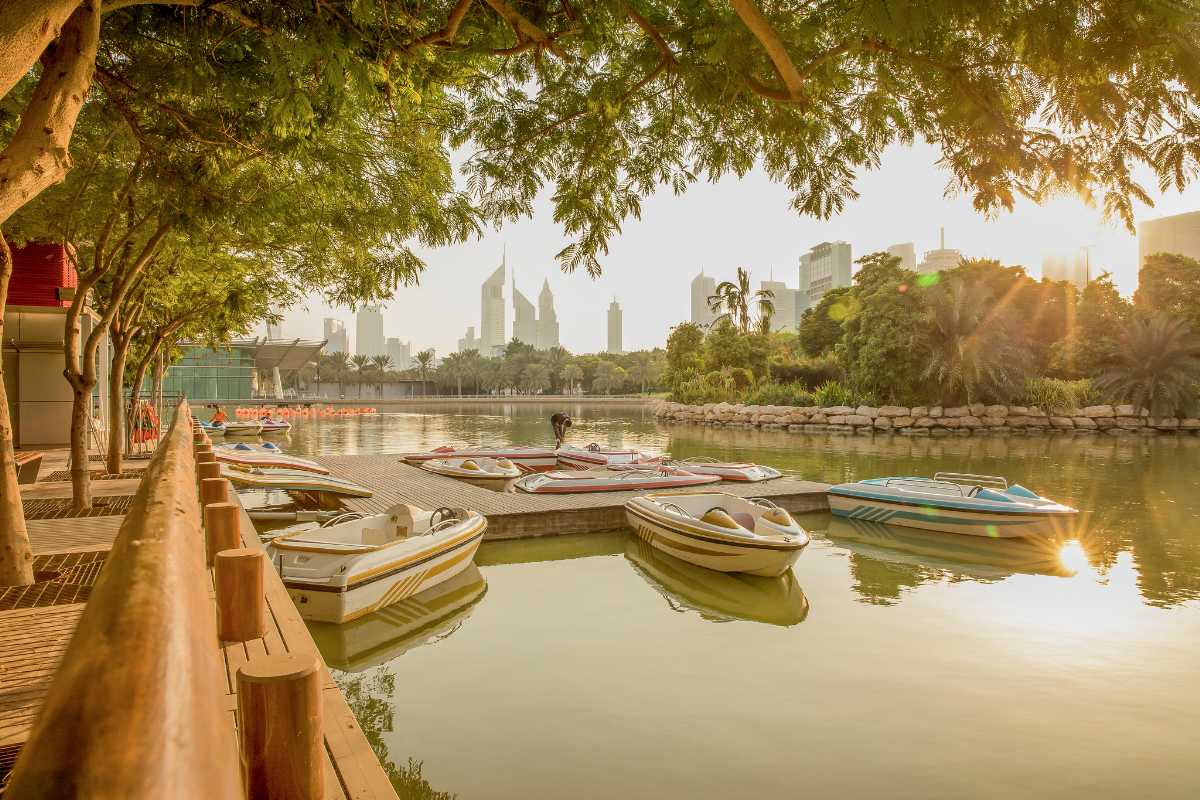 14 Best Picnic Spots In Dubai For A Perfect Day Out In 2023