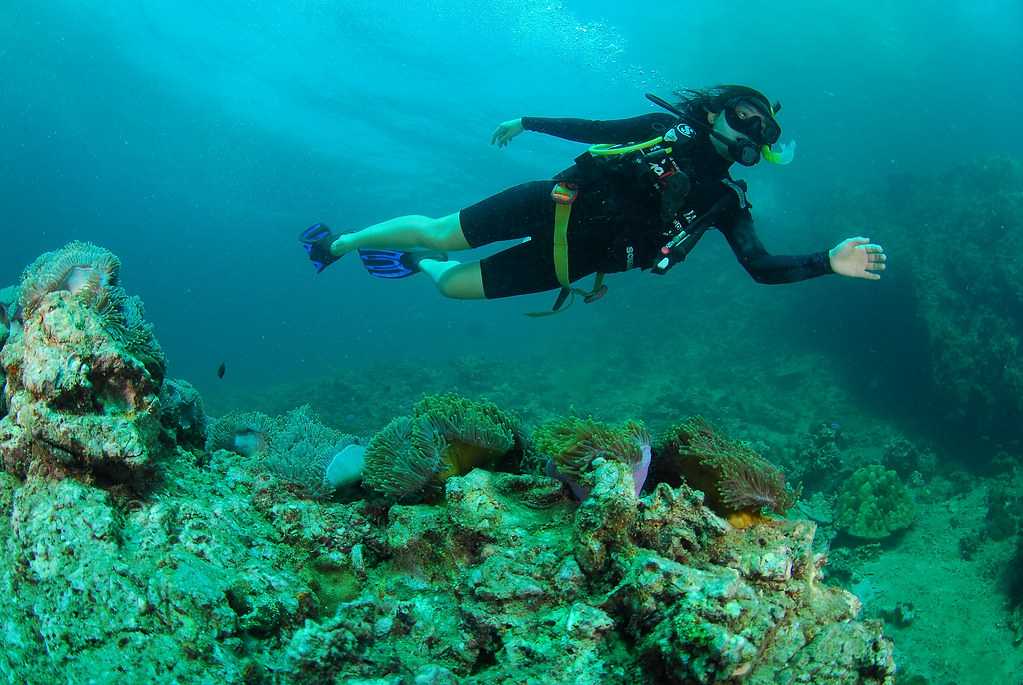 Scuba Diving near Laem Ka Beach