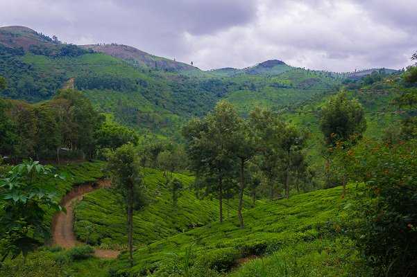 10-forest-reserves-of-india-for-a-wildlife-adventure