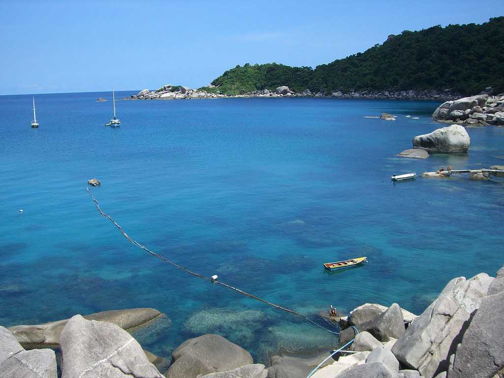 Dive Sites In Koh Tao The Ultimate Tourist Dive Guide