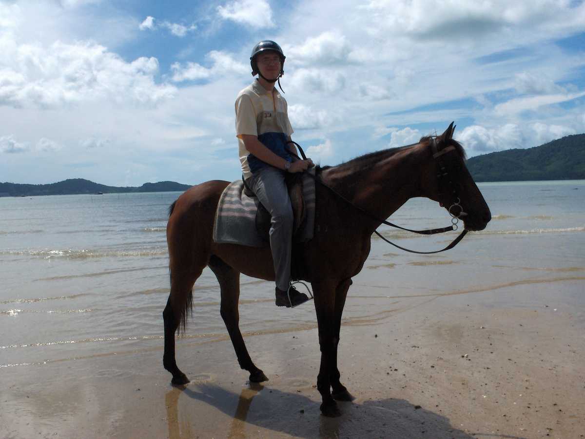 Horse Riding in Phuket - For the Adventure Junkie in You | Holidify