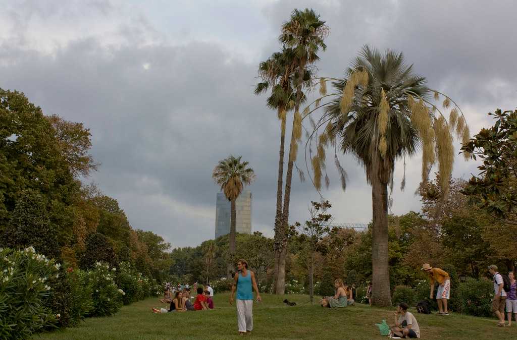 Picnics in Parc De La Ciutadella