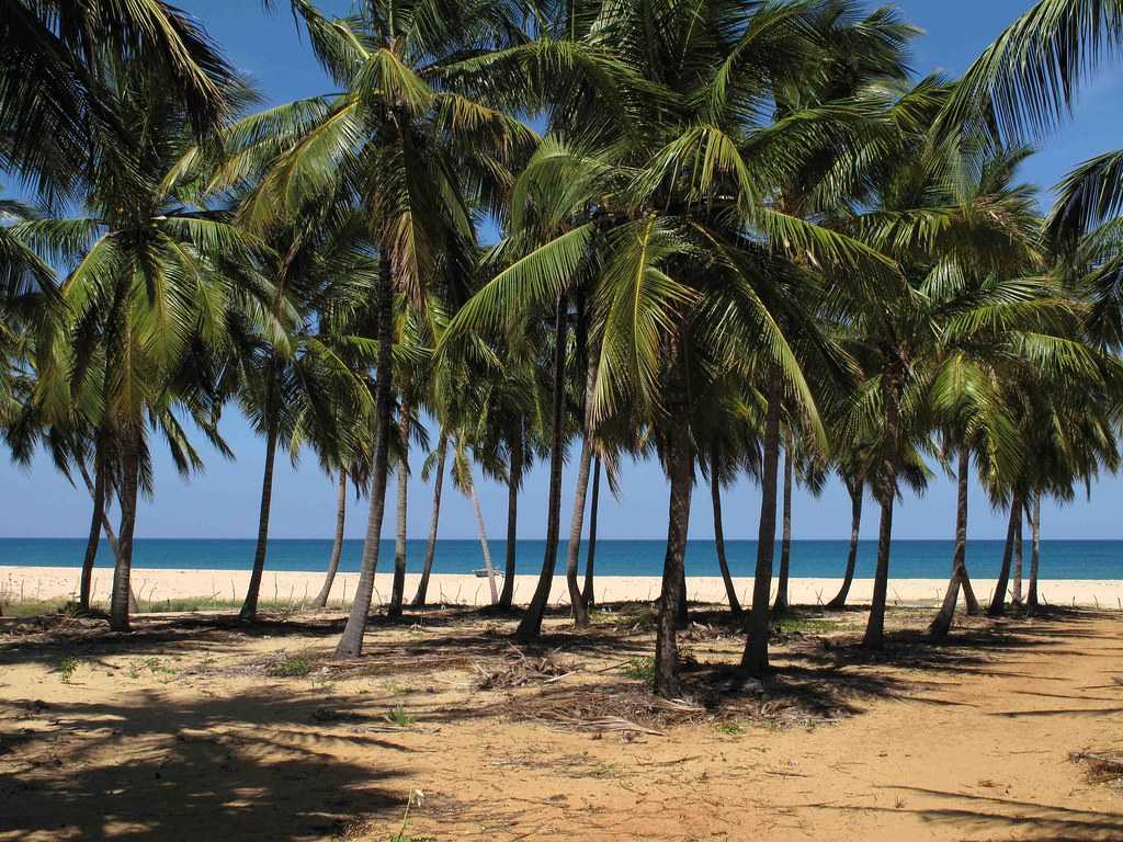 18 Beaches in Sri Lanka For A Perfect Island Vacation