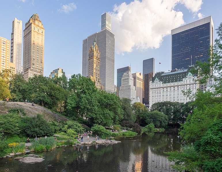 The 37 Best Things to Do in New York City