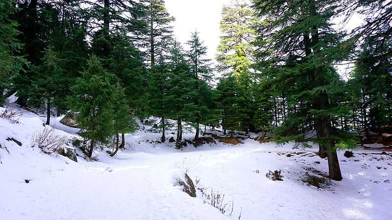 Snowfall in Khajjiar - Weather, Best Time and Activities | Holidify