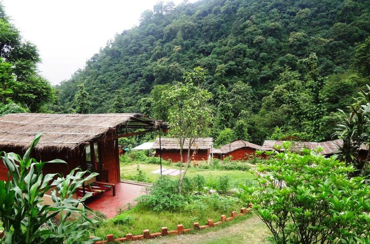 12 Jungle Resort In Rishikesh (2024)