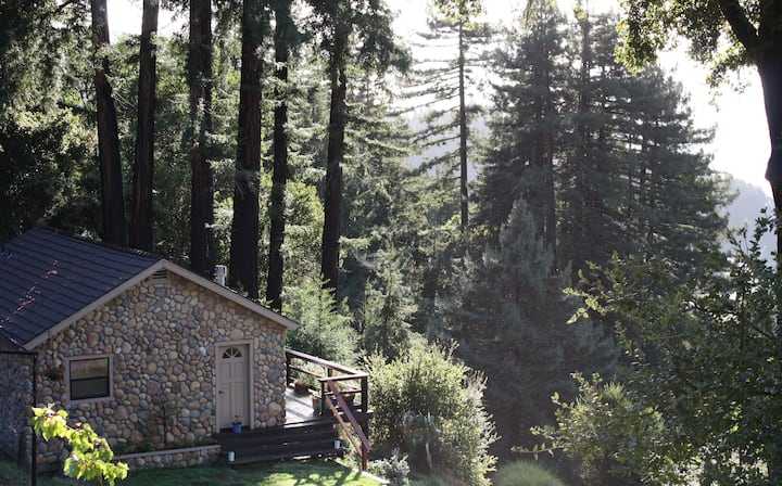 16 Cabins In Santa Cruz