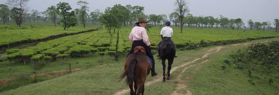 Horse Riding In India. In the Saddle Horse Riding Vacation