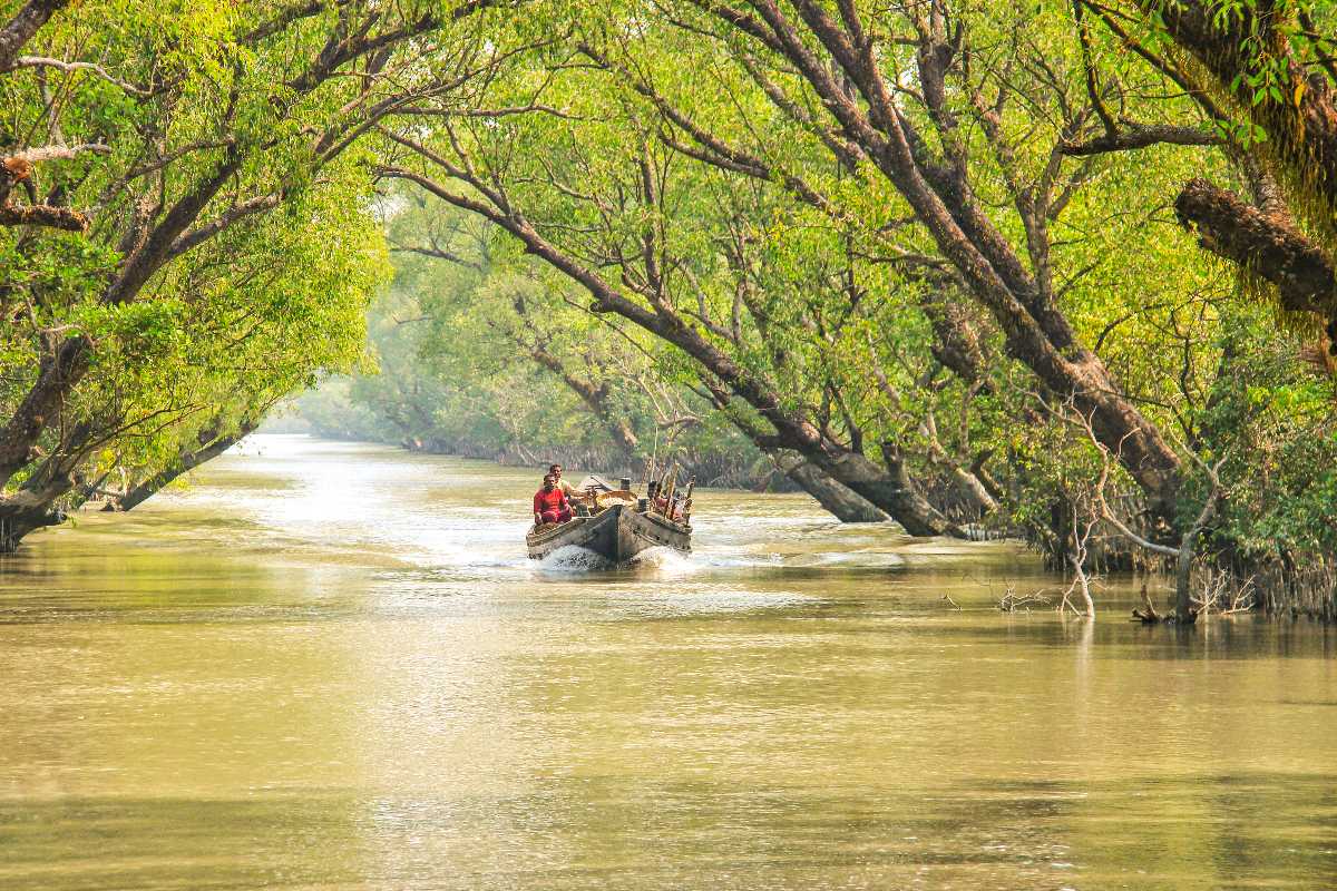 THE 10 CLOSEST Hotels to Sundarban Chalo - Unique Jungle Tour