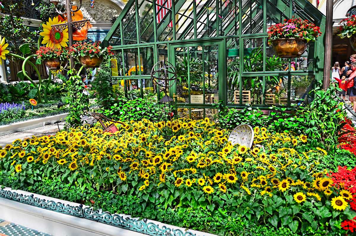 Bellagio Conservatory & Botanical Gardens – Garden Review