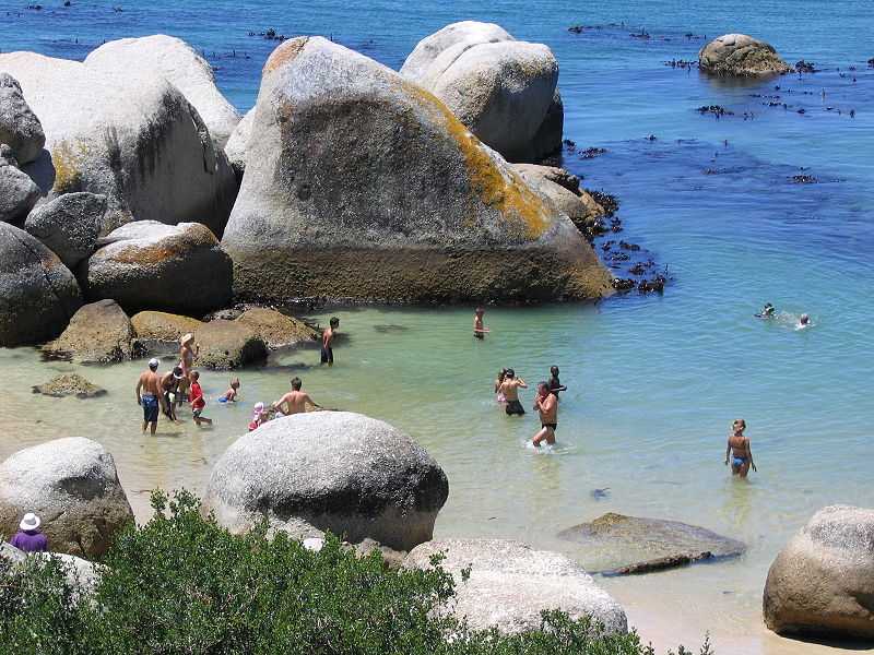 Cape Town, Best Family Destinations in the World to Take Your Kids