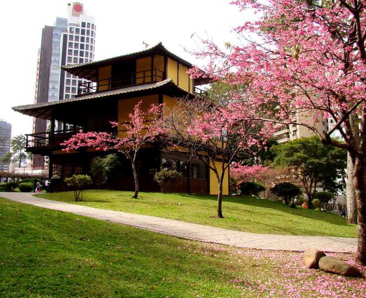 Curitiba, Best Places In The World To See The Spring Blossoms In Its Peak!