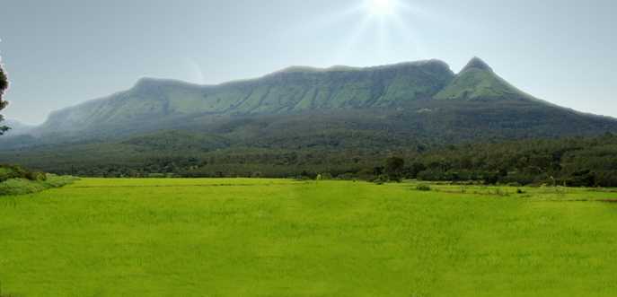 Chikmagalur, 3 day trip from Bangalore