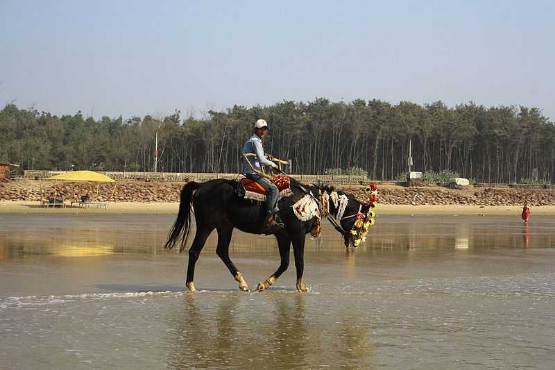 Digha, Horse Riding in India