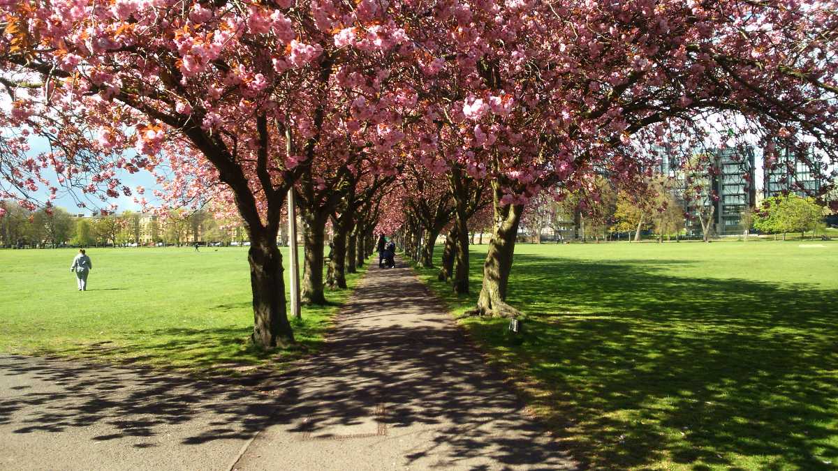 Edinburgh, Best Places In The World To See The Spring Blossoms In Its Peak!