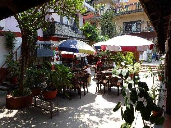 Gaia Coffee Shop, Top 15 Cafes in Kathmandu