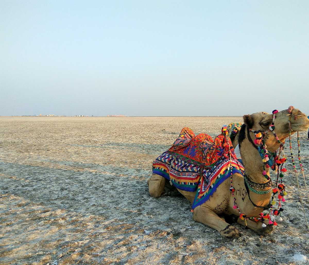 Kutch Travelogue - Things to do apart from Rann of Kutch - That Goan Girl