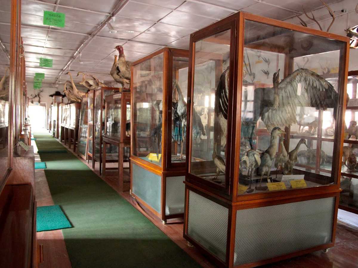 8 Museums To Visit In Kathmandu In 2022