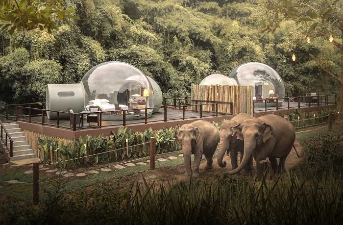 Jungle Bubble at Anantara Golden Triangle Elephant Resort