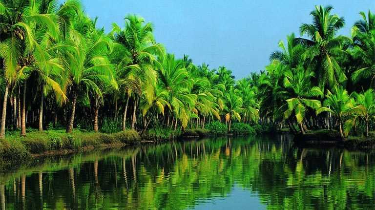 36 Facts About Kerala The God S Own Country Holidify