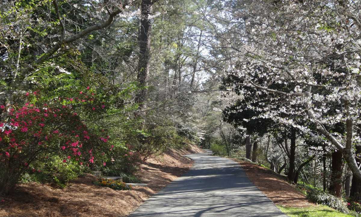 Macon, Best Places In The World To See The Spring Blossoms In Its Peak!
