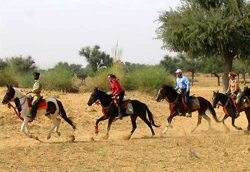 Horse Riding In India, Unicorn Trails Horse Riding Vacation
