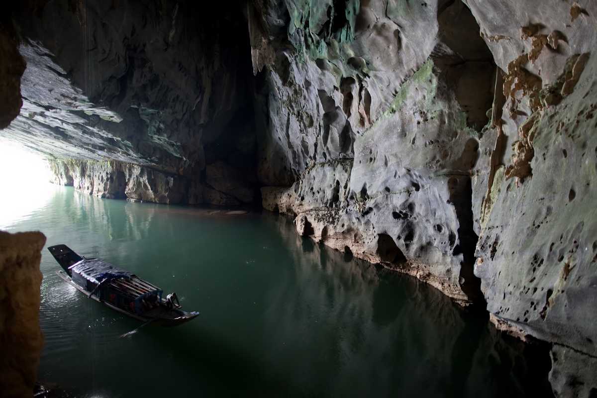 Indochinese tigers at Phong Nha-Ke Bang National Park