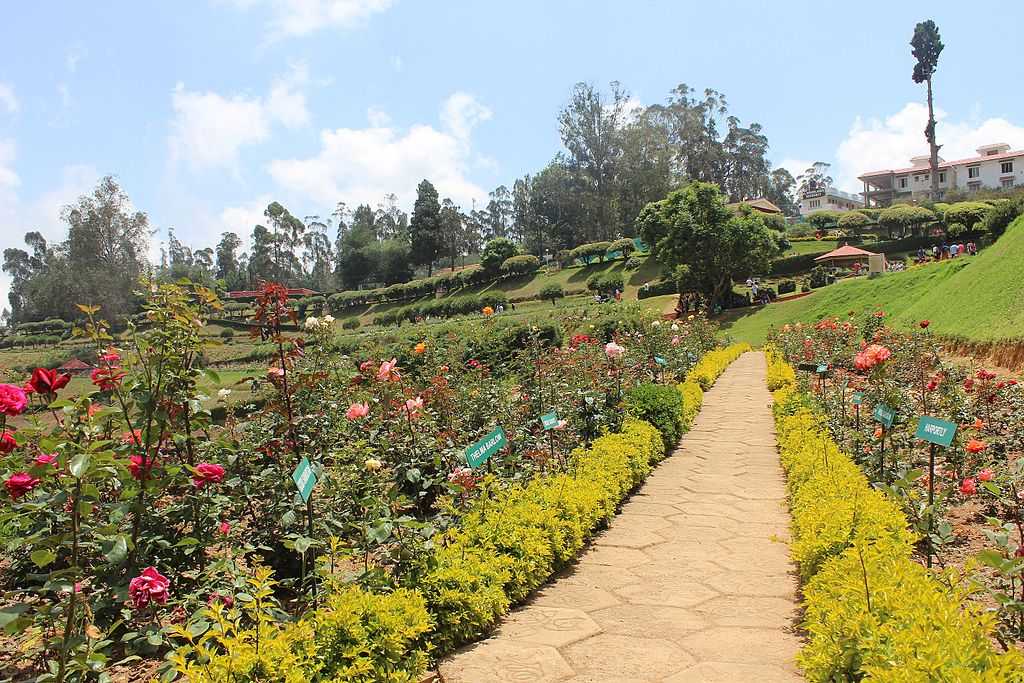 ooty tourist places entry fee